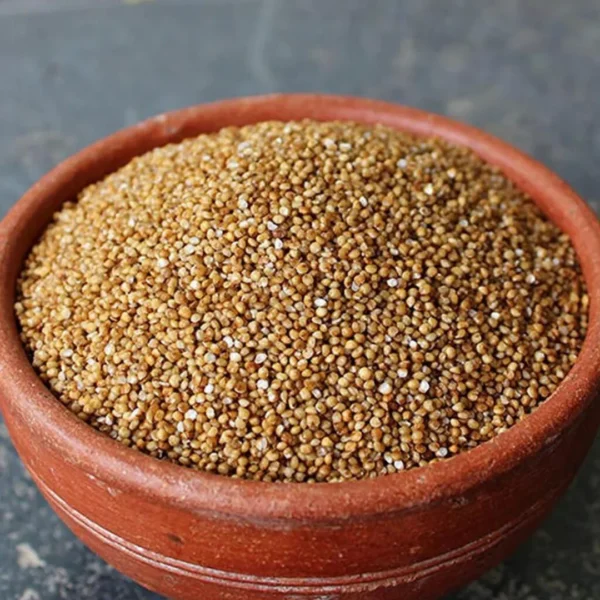 "A bowl of organic Kodo Millet grains" "Kodo Millet upma for a healthy breakfast" "Gluten-free Kodo Millet recipes for balanced meals"