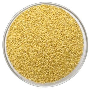 "A bowl of organic Foxtail Millet" "Healthy gluten-free Foxtail Millet grains" "Foxtail Millet recipes for weight management"