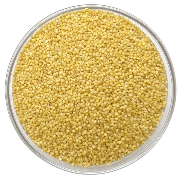 "A bowl of organic Foxtail Millet" "Healthy gluten-free Foxtail Millet grains" "Foxtail Millet recipes for weight management"