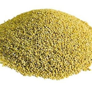 "Organic Browntop Millet grains in a bowl" "Cooked Browntop Millet porridge for a healthy breakfast" "Gluten-free Browntop Millet recipes for balanced meals"