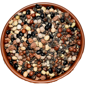 Pahadi Daal