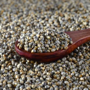 Pearl Millet Buy Pearl Millet online Gluten-free grains