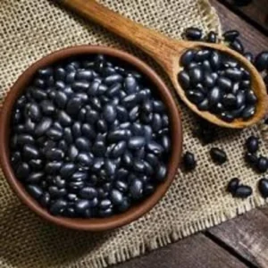 Pahadi Bhatt Daal Traditional Himalayan Daal Organic Daal from Uttarakhand Pahadi Daal health benefits Buy Pahadi Bhatt Daal online