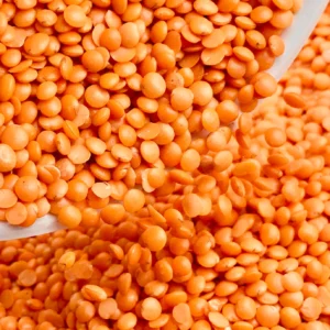 "Organic Masoor Dal (Red Lentils) – High-Protein, Nutrient-Rich Lentils" "Fresh Masoor Dal – Organic Red Lentils Packed with Fiber and Protein" "Masoor Dal (Red Lentils) – Perfect for Healthy Soups, Curries, and Dals" "Pure Masoor Dal – Rich in Iron, Magnesium, and Essential Nutrients" "Organic Red Lentils – Masoor Dal for Digestive Health and Weight Management" "Masoor Dal (Red Lentils) – Plant-Based Protein for a Balanced Diet" "Healthy Masoor Dal – Rich in Fiber, Ideal for Heart Health and Digestion" "Buy Masoor Dal (Red Lentils) – Fresh, Organic, and Nutritious Legumes"