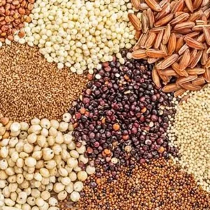 Whole Grains