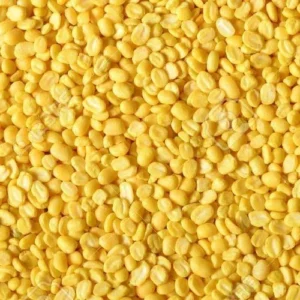 Split Moong Dal – Organic, High-Protein Lentils for Healthy Meals" "Fresh Split Moong Dal – Rich in Fiber and Essential Nutrients" "Organic Split Moong Dal – Light, Nutritious Lentils for Soups and Curries" "Split Moong Dal – Easy to Digest, Packed with Plant-Based Protein" "Split Moong Dal – High in Fiber, Ideal for Heart Health and Digestion" "Buy Organic Split Moong Dal – Nutritious, Quick-Cooking Lentils"