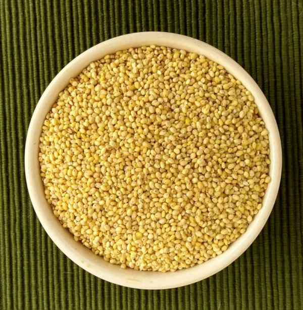 "A bowl of organic Proso Millet grains" "Cooked Proso Millet porridge for a healthy breakfast" "Gluten-free Proso Millet recipes for a balanced diet"